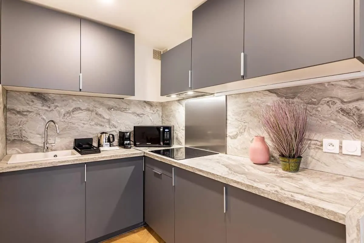 Bel Appartement Parisien Fransa